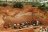 Atapuerca chiama Fumane