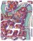 Libro: Via dei matti numero 37100