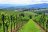 Terra delle mie brame: il caso Valpolicella